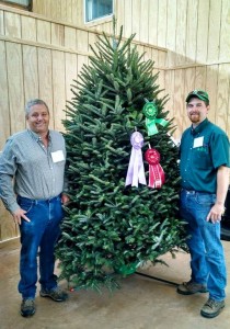 wholesale christmas tree farms