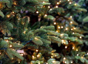 fraser fir garland