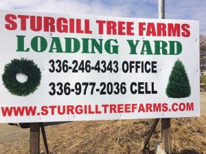 christmas tree loading yard